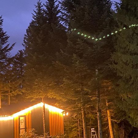 Aparthotel Феєрія Лісу à Skhidnytsia Extérieur photo