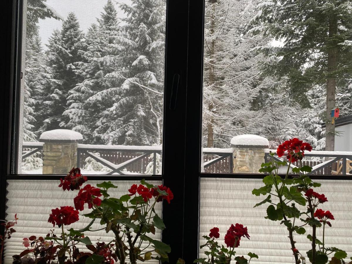 Aparthotel Феєрія Лісу à Skhidnytsia Extérieur photo