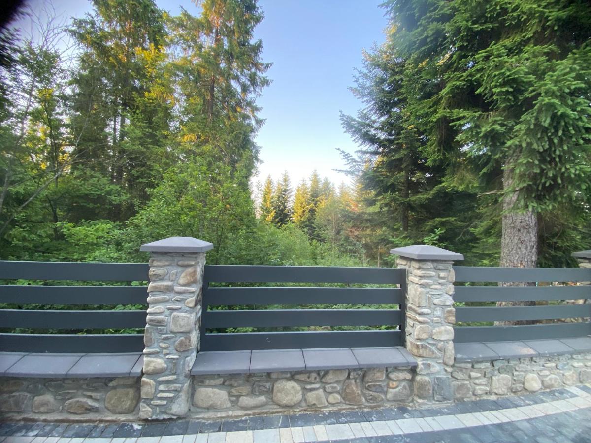 Aparthotel Феєрія Лісу à Skhidnytsia Extérieur photo