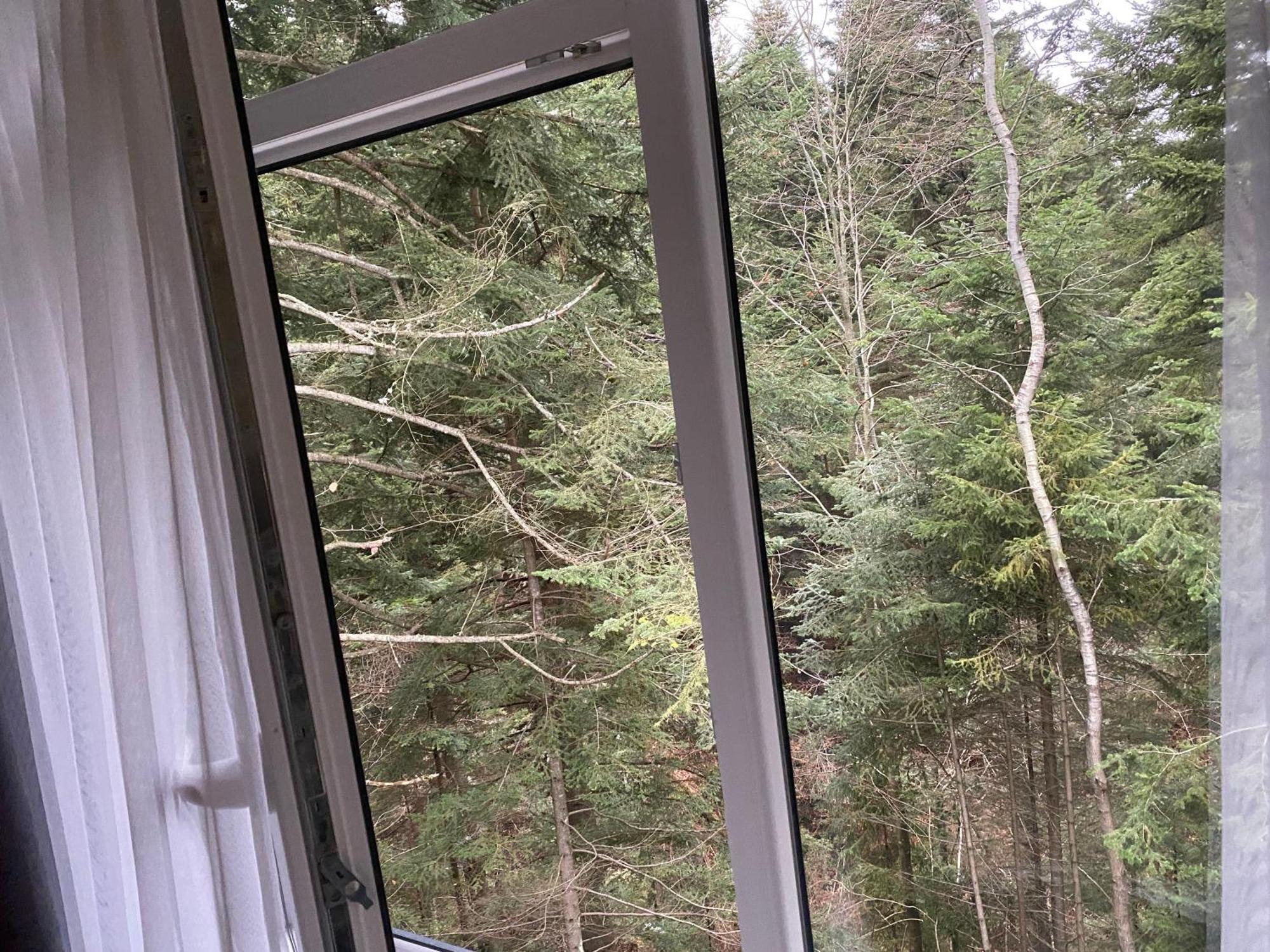 Aparthotel Феєрія Лісу à Skhidnytsia Extérieur photo