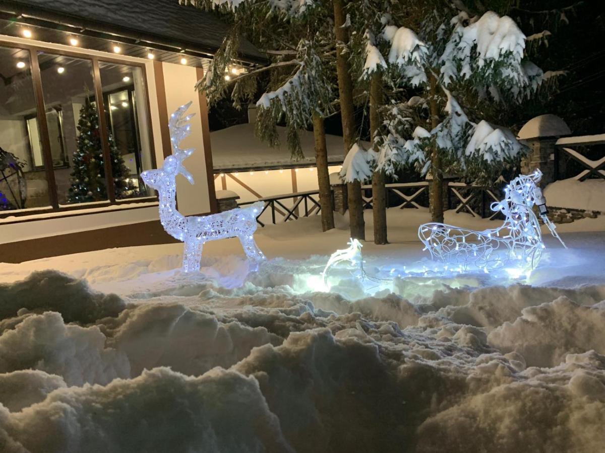 Aparthotel Феєрія Лісу à Skhidnytsia Extérieur photo